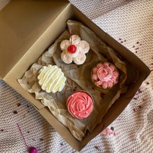 Cupcake Box